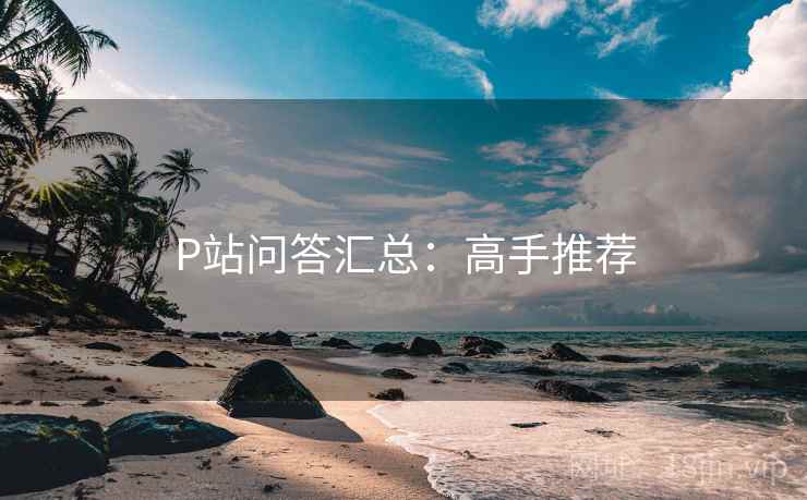 P站问答汇总：高手推荐