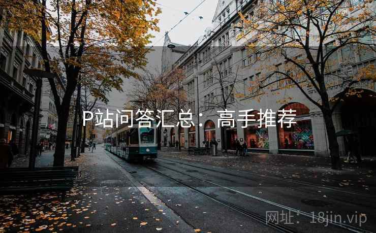 P站问答汇总：高手推荐