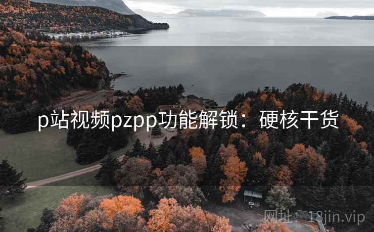 p站视频pzpp功能解锁：硬核干货